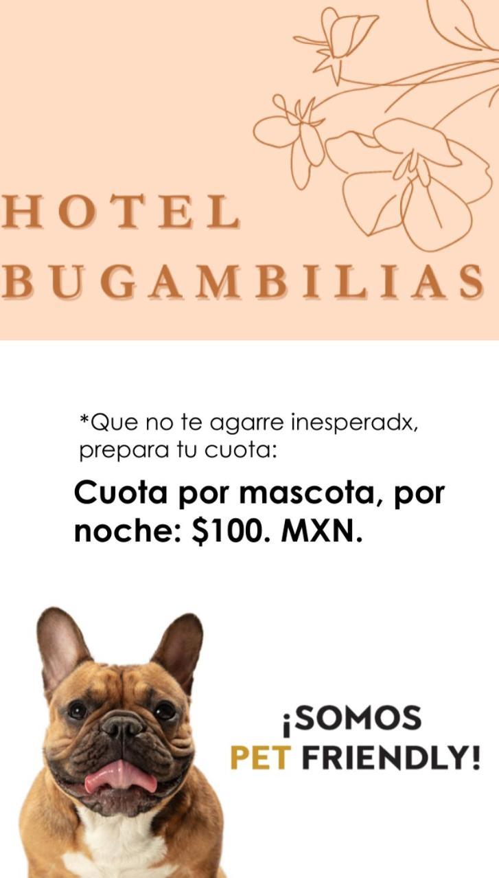 Hotel Bugambilias Oaxaca Extérieur photo
